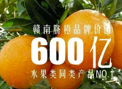 赣南脐橙